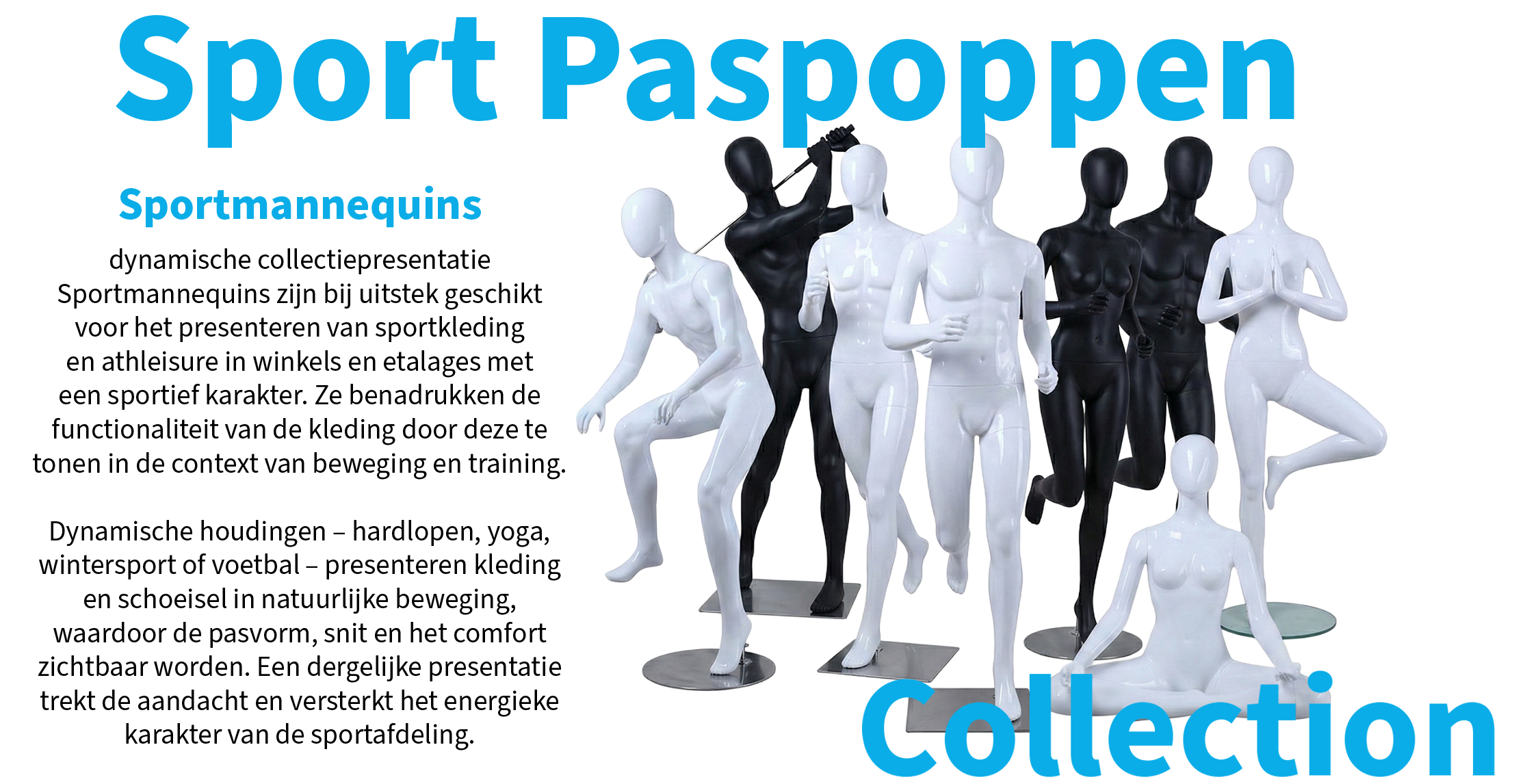 Sport Sport